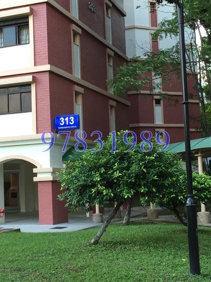 Blk 313 Sembawang Drive (Sembawang), HDB 5 Rooms #126952972